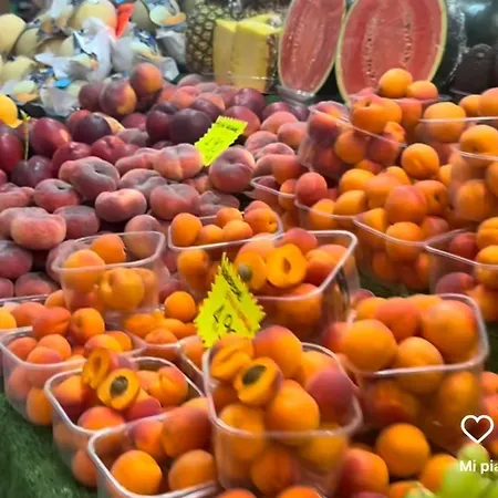 Casa Nina * サンレモ